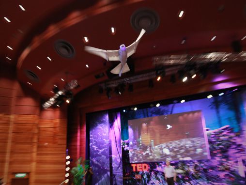 Click to play Un robot que vuela como un pájaro