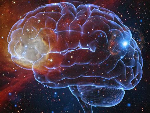 Click to play Michelle Borkin: Can astronomers help doctors?