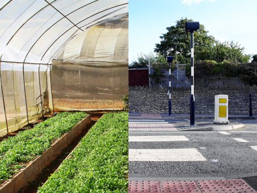 Click to play Pam Warhurst : Comment nous pouvons manger nos paysages