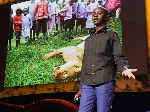 Click to play Richard Turere : Traité de paix... avec des lions.