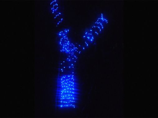 Click to play Jose Miguel Sokoloff: Comment les illuminations de Noël ont fait baisser les armes à la guérilla