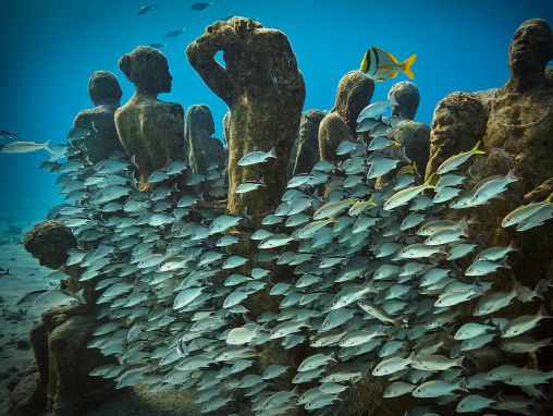 Click to play Jason deCaires Taylor: Un musée d'art sous-marin, grouillant de vie