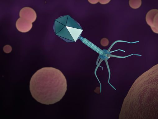 Click to play Alexander Belcredi: Cómo un virus olvidado puede ayudarnos a solucionar la crisis de los antibióticos