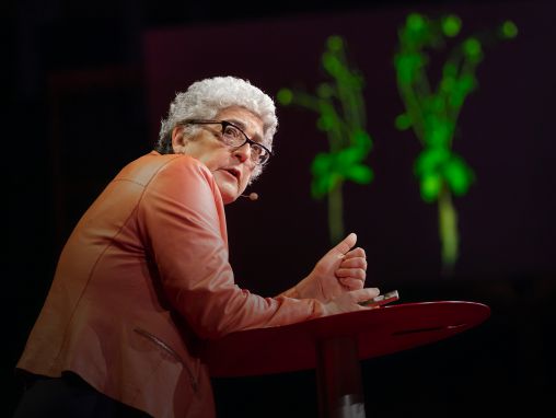 Click to play Joanne Chory: Comment des plantes boostées pourraient ralentir le changement climatique