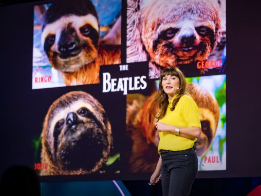 Click to play Lucy Cooke: Paresseux ! L'étrange vie du mammifère le plus lent au monde