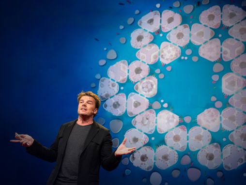 Click to play Bjarke Ingels: Les villes flottantes, la LEGO House et d'autres constructions architecturales du futur
