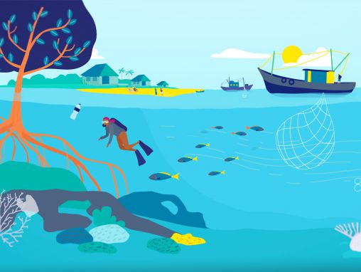Click to play Mark Tercek: Une proposition ingénieuse pour amplifier la protection maritime