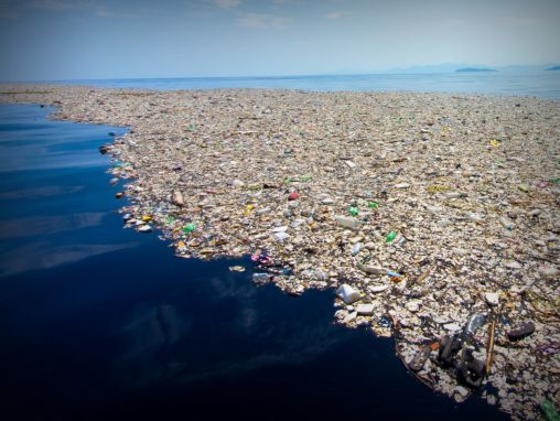 Click to play Andrew Forrest: A radical plan to end plastic waste