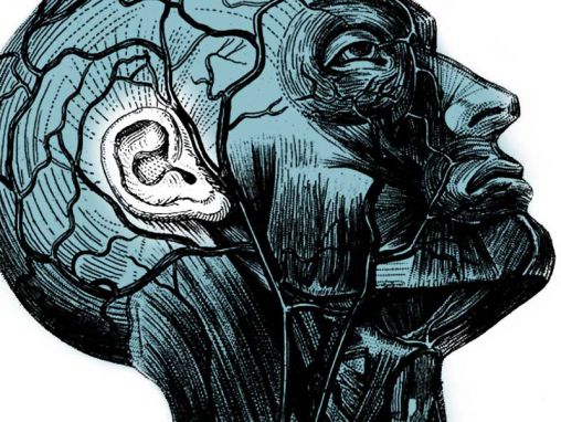 Click to play Charles Limb: Das Aufbauen des musikalischen Muskels