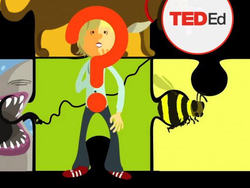Click to play Chris Anderson (TED): Questions no one knows the answers to