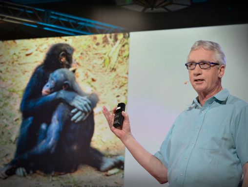 Click to play Frans de Waal: La sorprendente ciencia de los machos alfa