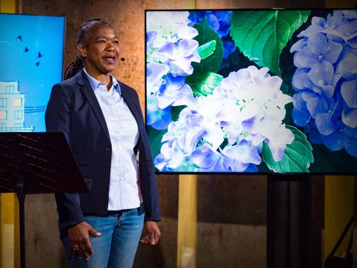 Click to play tobacco brown: Lo que la jardinería me enseñó sobre la vida