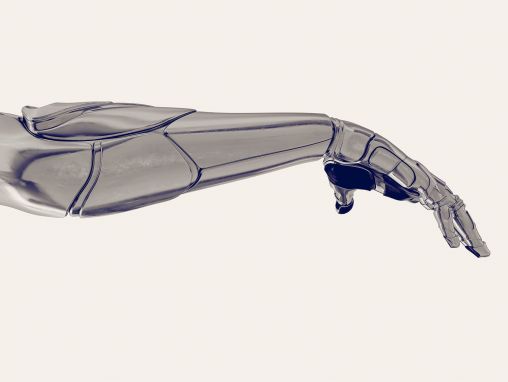 Click to play ميغيل نيكوليلس: قرد يتحكّم ذهنيا بروبوت. لا، حقّا.