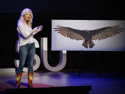 Click to play Lauren Pharr: Come gli avvoltoi possono aiutare a risolvere i crimini