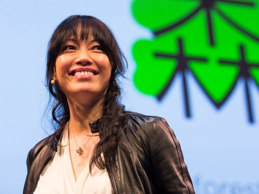Click to play ShaoLan Hsueh: Legu la ĉinan... facile!