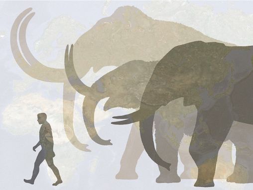 Click to play Hendrik Poinar: Facciamo ritornare i mammut lanosi!