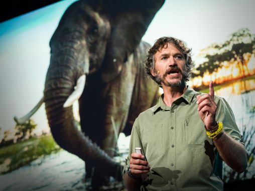 Click to play Steve Boyes: Cerchiamo di salvare uno degli ultimi luoghi incontaminati della Terra