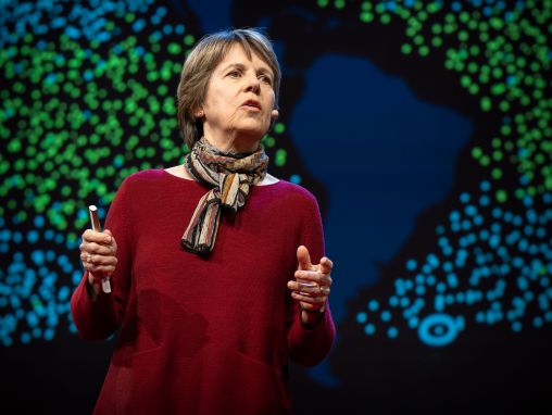 Click to play Penny Chisholm: Malinké stvorenia, ktoré potajme poháňajú celú planétu