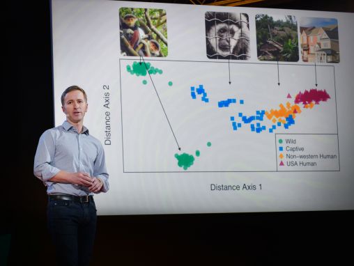 Click to play Dan Knights: Come studiamo i microbi che vivono nel nostro intestino