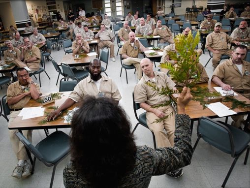 Click to play Dan Pacholke: Come le carceri possono aiutare i carcerati a vivere vite dignitose