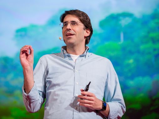 Click to play Tasso Azevedo: Lezioni ottimiste dalla battaglia per salvare le foreste pluviali