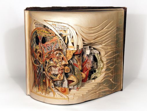 Click to play Brian Dettmer: Livros antigos renascidos como arte complexa