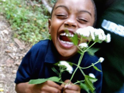 Click to play Emma Marris: Nature is everywhere -- we just need to learn to see it