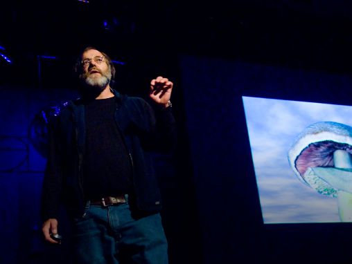 Paul Stamets:蘑菇拯救世界的6种方法