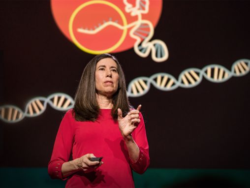 Click to play Ellen Jorgensen: Tutto quello che dovete sapere su CRISPR