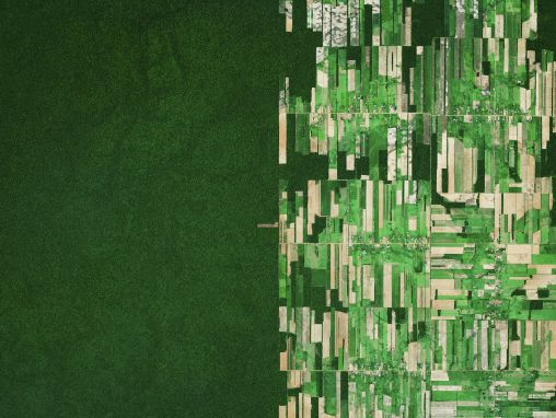 Click to play Bendžamins Grants: Sajūtas, vērojot Zemi no kosmosa