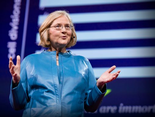 Click to play Elizabeth Blackburn: The science of cells that never get old