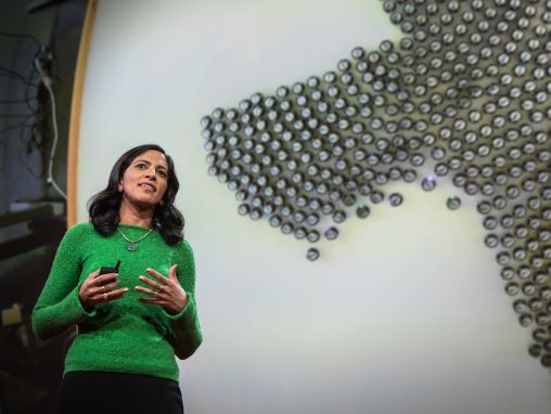 Click to play Radhika Nagpal: What intelligent machines can learn from a school of fish