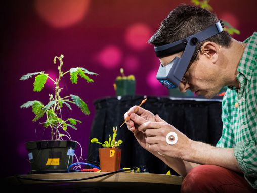 格雷格▪盖奇: 研究植物计算与交流能力的电学实验
