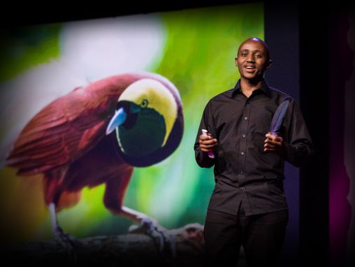 Click to play Vašingtons Vačira: Aicinājums putnu mīļotājiem