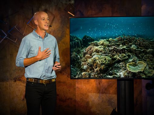 Click to play Alasdair Harris: Como meia dúzia de aldeias piscatórias deram origem a uma revolução na conservação marinha