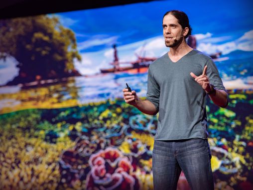 Click to play Mike Gil: Could fish social networks help us save coral reefs?