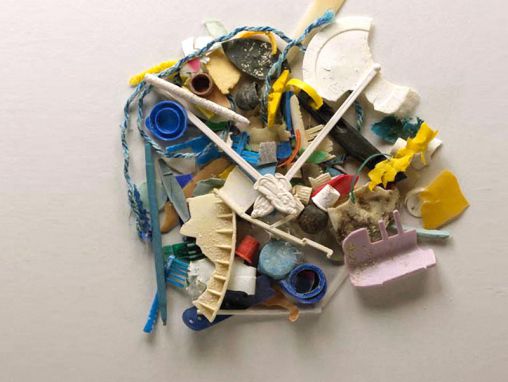Dianna Cohen : Dures vérités à propos de la pollution par le plastique